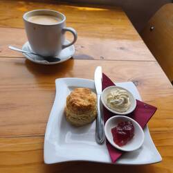 Pause in Quorn