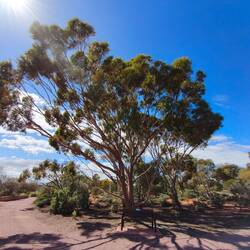 .. in Port Augusta