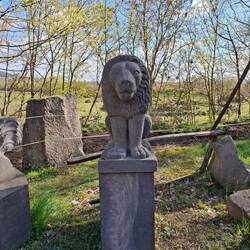 Für den Vorgarten zu groß