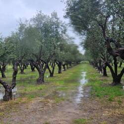 Auf dem Platz zieht auch schon das Wasser ein