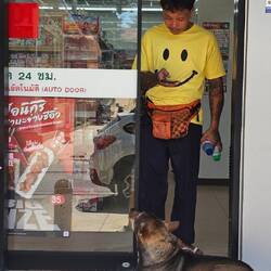 Und warum gammeln die Hunde immer beim Eingang zum 7-11.