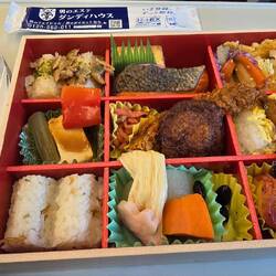 Bento box for the ride