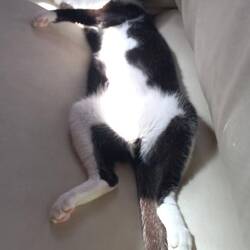 La vie est belle à 30nd et houle 3,5m