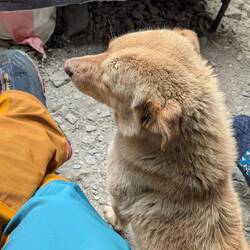 Und Doggy hat uns auch wieder besucht