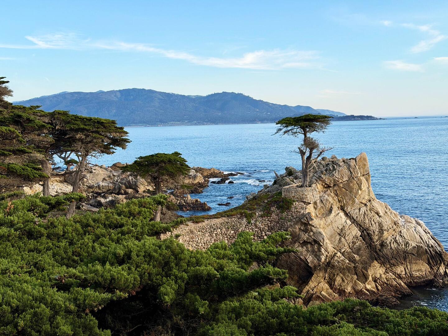 Lonely Cypress am 17 Miles Drive