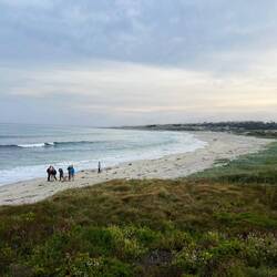 Asilomar State Beach