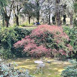 Lauschiges Plätzchen