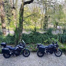 Die Tiger dürfen sich im Garten ausruhen