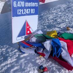 Und ich konnte meine Schneckenhäuser im Gedenken an Doris und Pschitt hinterlassen