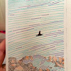 Une des orques de hier 🐟