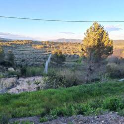 Blick in die abendliche Landschaft