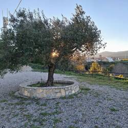 Mirador hinter dem Womo-Stellplatz