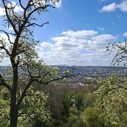 Schöner Blick zum Ölberg im Siebengebirge...