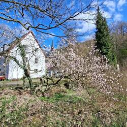 Kaum zu erkennen, daß Kloster Seligenthal.