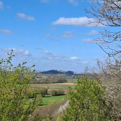....und zur geliebten Kreisstadt Siegburg.