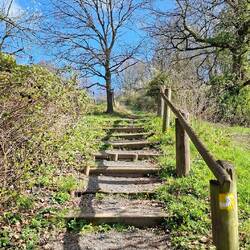 ... und schon geht's kräftig bergauf.