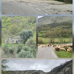 .... dieses mal aber Gott sei Dank ohne Schnee 😅🙏