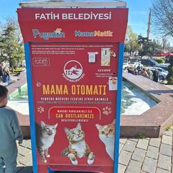 Futterautomat für Katzen