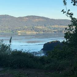 We see the water walking to Pontevedra when we are past the town of Arcade