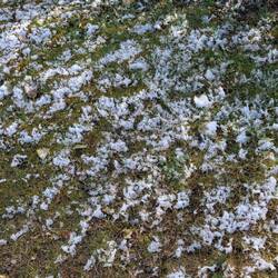 Bei der Anreise hat es noch geschneit.