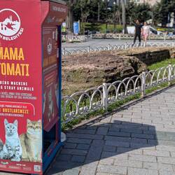 Some original Hippodrome wall (next to feed-the-stray cat machine).