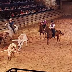 ... und wieder raus.