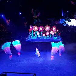 Immer mal hochgucken ob was passiert.