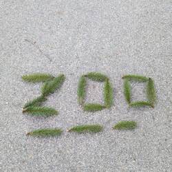 200 km sind bis hier her geschafft!
