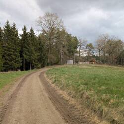 Perfekter Untergrund für einen Wanderweg.