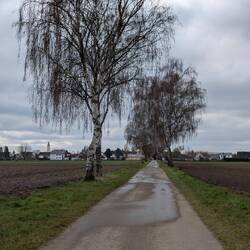 Blick auf Baar-Ebenhausen