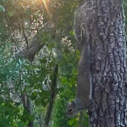 Ich hänge dann mal so rum🤣