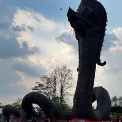 Black naga at Wat Mai Thep Sathit rears up 25m high and is 130m long. Looks like he'll eat that bird