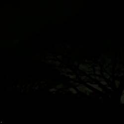 We watched a lightning show light up the trees around us as we ate our dinner.