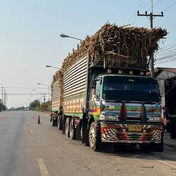 On route we shared the road with lots of double lorries loaded up to the hilt with sugar cane.