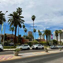 Impressionen aus Tucson