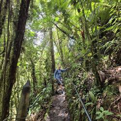 Anschließend der Abstieg zur Höhle