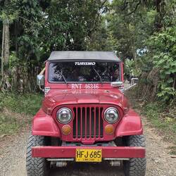 Unser Willys-Jeep