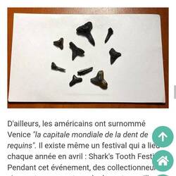 Pour avoir un aperçu de ces fumeuses dents 🦈