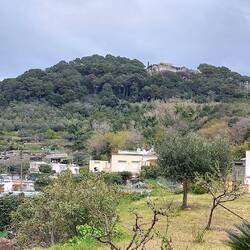 View up to Villa Jovis