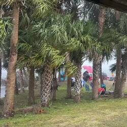 Der Platzregen, welcher uns kurz ins Trockene trieb