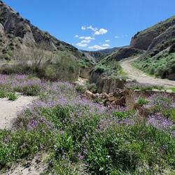 Hier fast noch lieblich