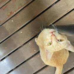 A friend at the coffee shop