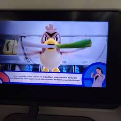 Pokémon Erklär Videos dürfen im Flugzeug nicht fehlen