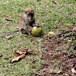 ... jetzt nicht mehr 😳