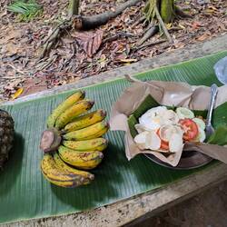 Die Bananen fand der Orang-Utan auch gut, bekam aber keine 🍌