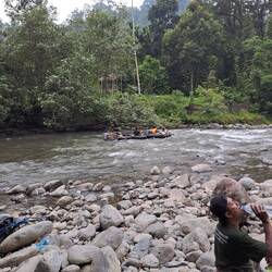 Das Dschungel-Taxi 😳