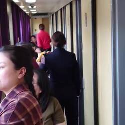 This lass talked the hind legs off 2 donkeys for nearly an hour bless her heart