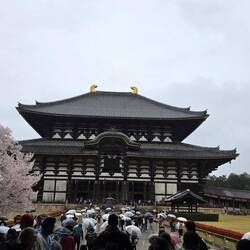 Tōdai-ji Tempel