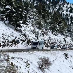 Der Alpa hält den Verkehr auf 😆