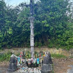 We have seen these all along the trail.